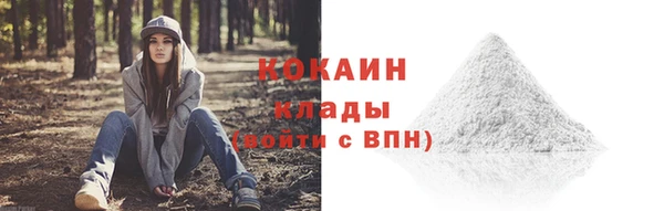 ПСИЛОЦИБИНОВЫЕ ГРИБЫ Верхнеуральск