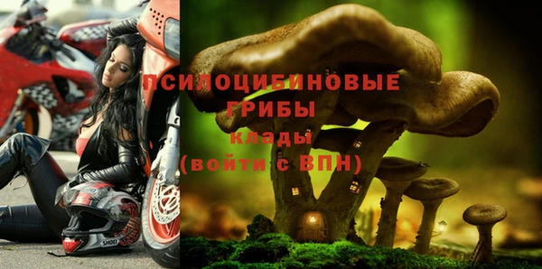 герыч Верея