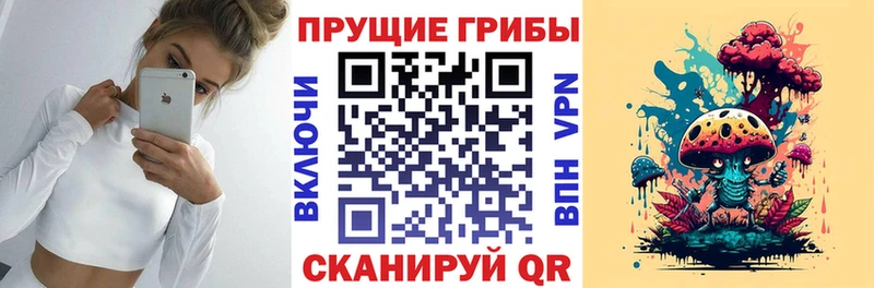 даркнет сайт  Змеиногорск  Псилоцибиновые грибы мухоморы 