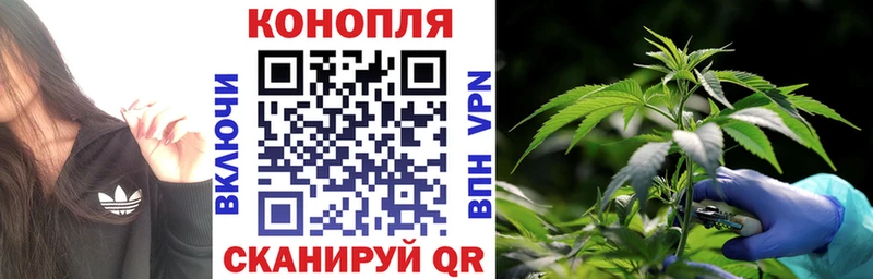 купить наркоту  Змеиногорск  МАРИХУАНА SATIVA & INDICA 